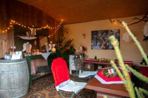 vieth-weihnachstbauume-3