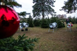 vieth-weihnachstbauume-4