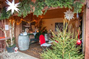 vieth-weihnachstbauume-7
